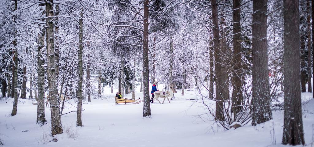 Hotel Lapland Igloo Ranua Exterior foto