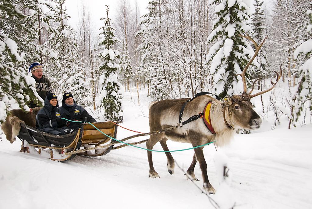 Hotel Lapland Igloo Ranua Exterior foto